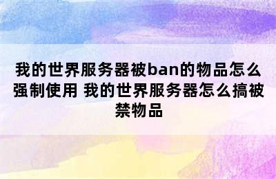 我的世界服务器被ban的物品怎么强制使用 我的世界服务器怎么搞被禁物品